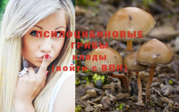 герыч Новокубанск