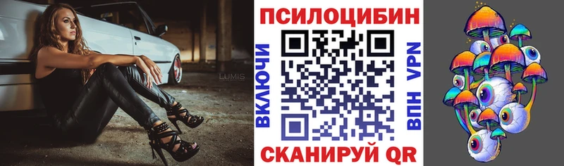 Галлюциногенные грибы Cubensis Ужур